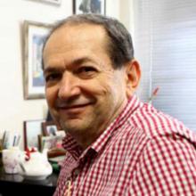 Metin Arık